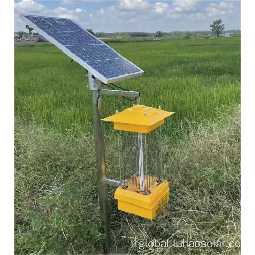 China Solar Bug Zapper Lantern Light Factory